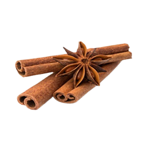ayurvedic treatment for premature ejaculation