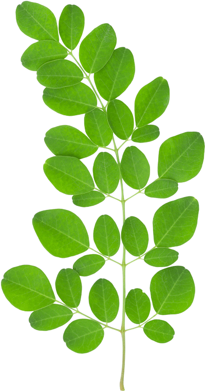 ayurvedic medicine for premature ejaculation